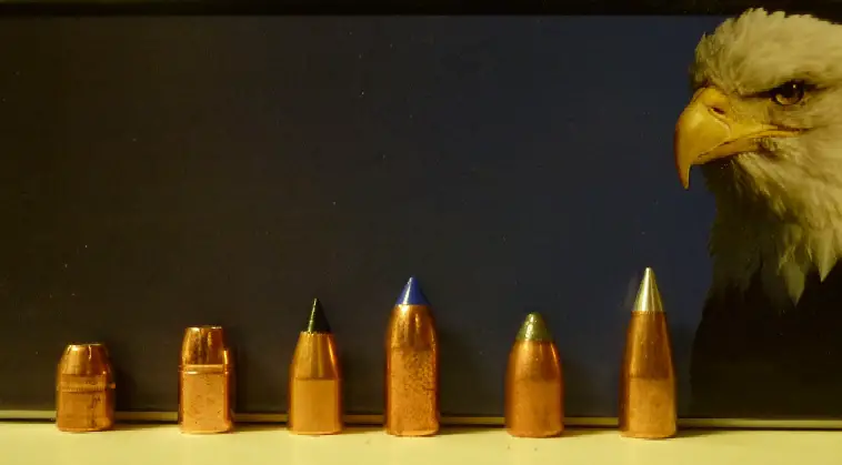 A 2011 Look At Muzzleloading Bullets