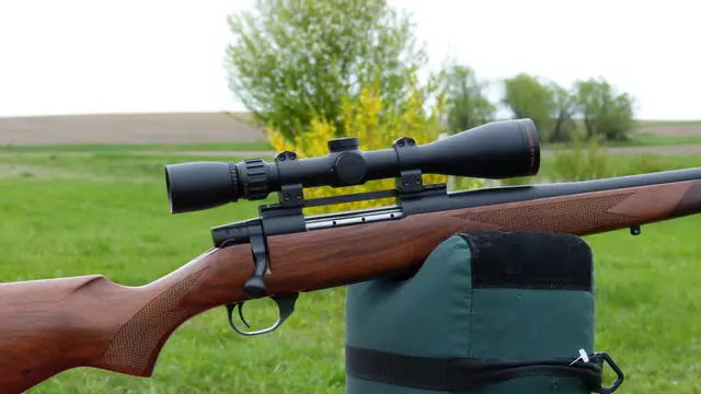 Weatherby vanguard series 2 22-250